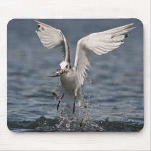Mousepad Hovering Kittiwake