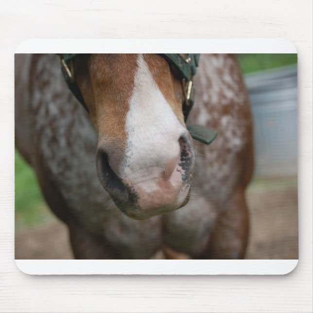 Mousepad Howdy! (Frente)