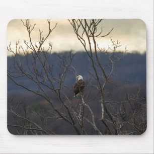 Mousepad Hudson Valley Eagle