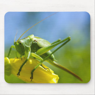 MOUSEPAD HUGO