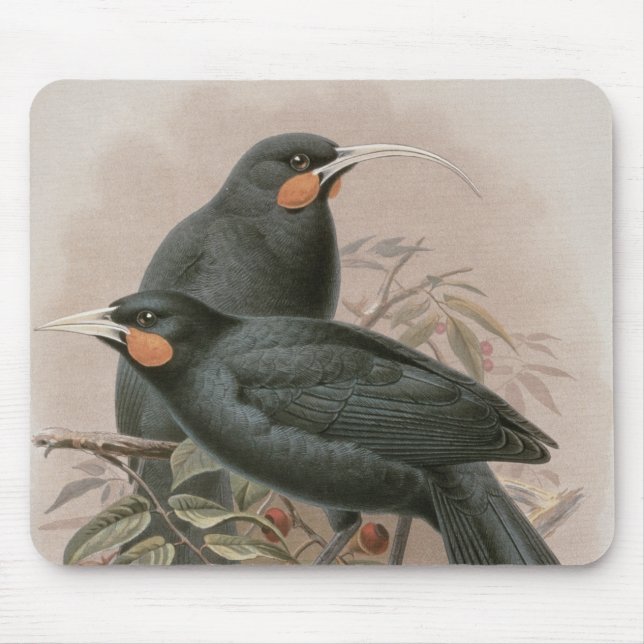 Mousepad Huia (Frente)