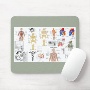 Mousepad Human Anatomy Charts