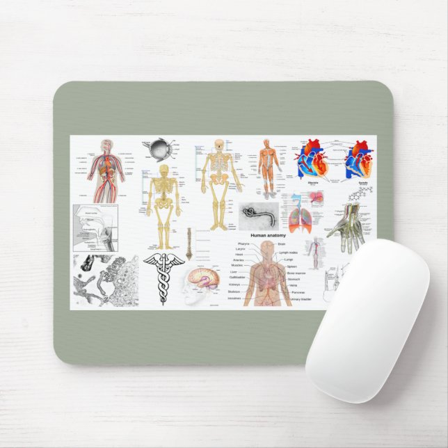 Mousepad Human Anatomy Charts (Com mouse)