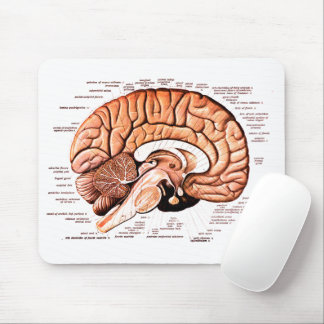 Mousepad Human Brain Anatomy Medical Diagram Novelty