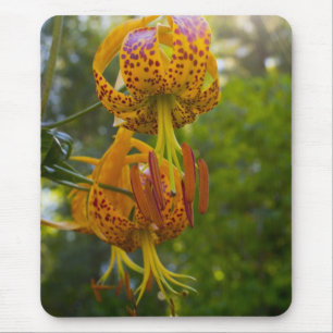 Mousepad Humboldt Lily Sunburst
