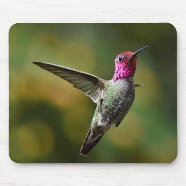 Mousepad Hummingbird (Frente)