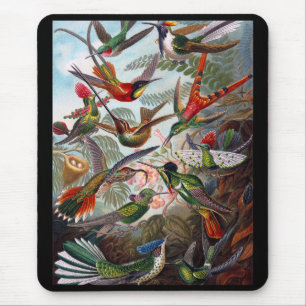 Mousepad Hummingbird