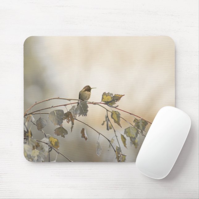 Mousepad Hummingbird 5265 (Com mouse)