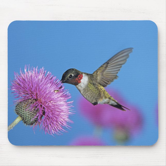Mousepad Hummingbird com garganta (Frente)