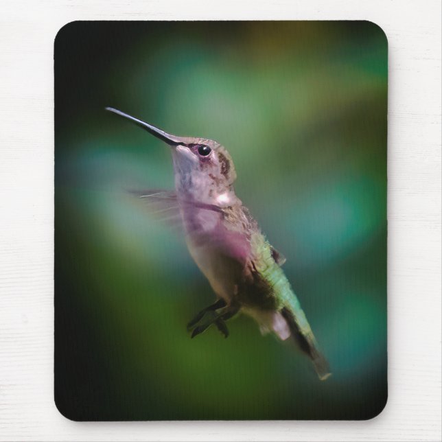Mousepad Hummingbird com garganta de rubi - Fotografia orig (Frente)