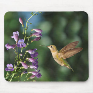 Mousepad Hummingbird e Flor
