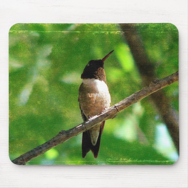 Mousepad Hummingbird Morning (Frente)