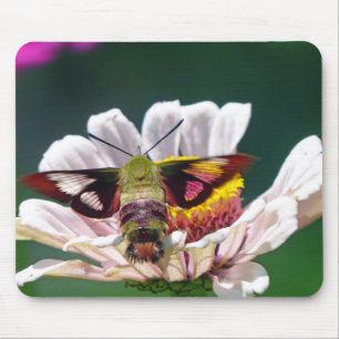 Mousepad Hummingbird Moth