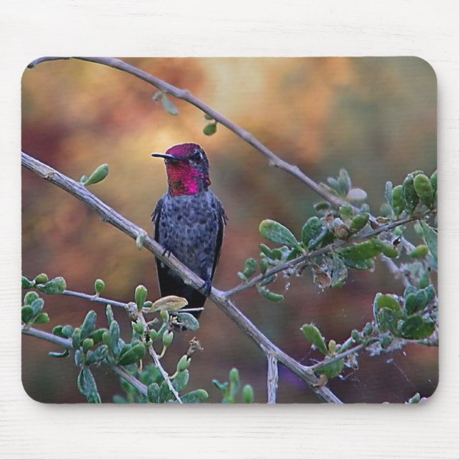 Mousepad Hummingbird no pôr do sol (Frente)