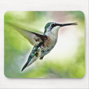Mousepad Hummingbird No Suporte Do Rato De Ar Médio