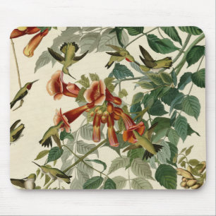 Mousepad Hummingbird Ruby Throbon Audubon
