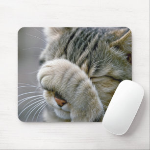 Mousepad Humor de Gato Malhado