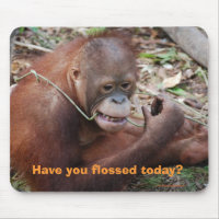 Humor dos cuidados dentários dos dentes de Floss