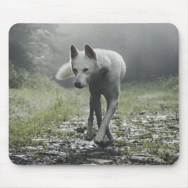 Mousepad Husky Siberiano Branco (Frente)