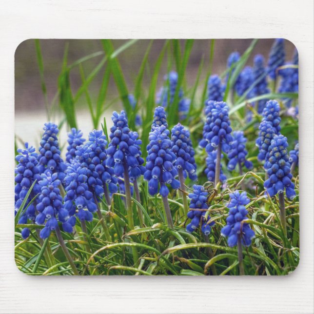 Mousepad Hyacinth Grape (Frente)