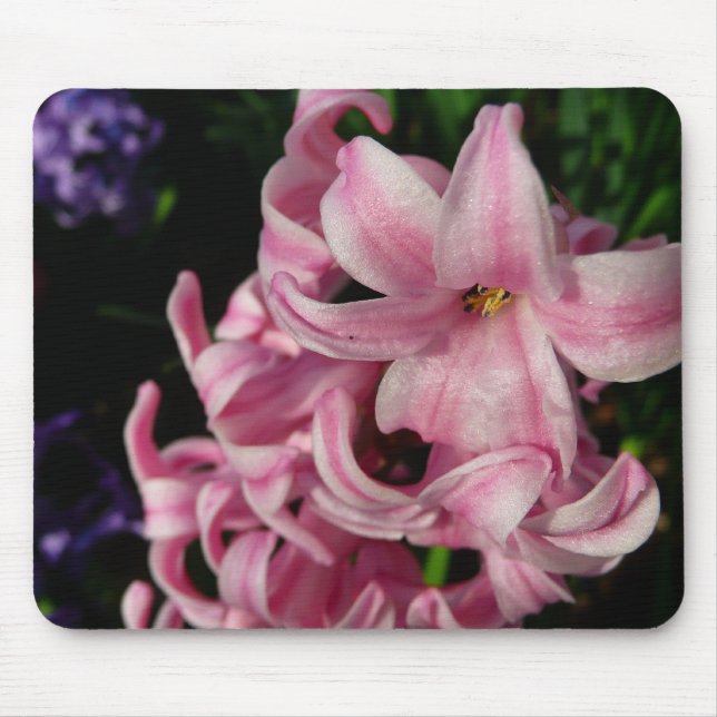 Mousepad Hyacinth Primavera Floral rosa (Frente)