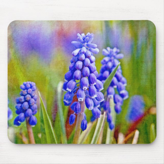 Mousepad Hyacintos de Uva (Frente)