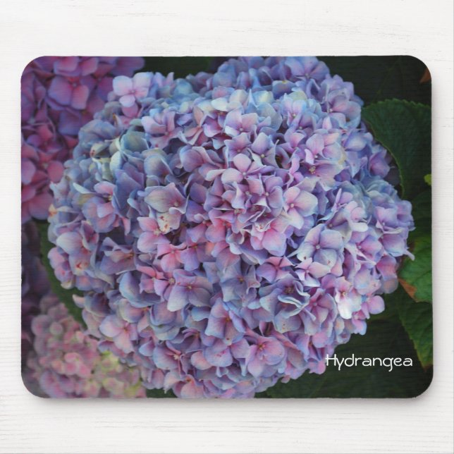 Mousepad Hydrangea (Frente)