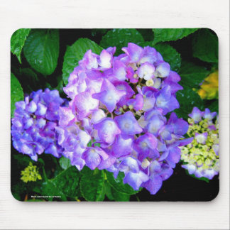 Mousepad Hydrangea do verão