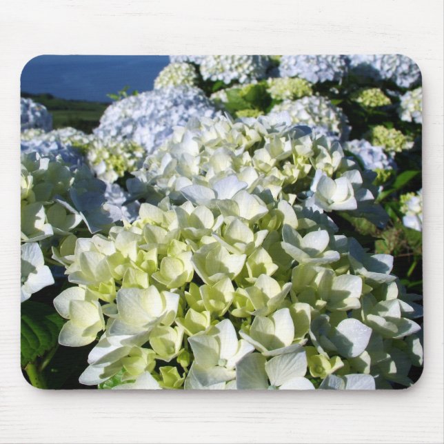 Mousepad Hydrangeas (Frente)