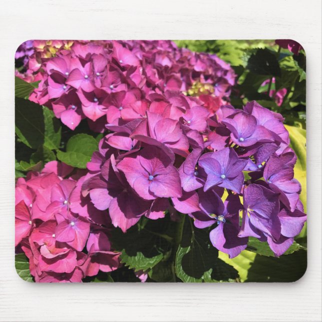 Mousepad Hydrangeas (Frente)