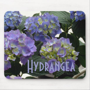 Mousepad Hydrangeas franceses dos azuis bebés