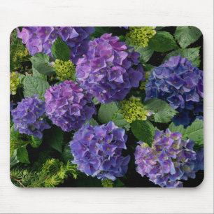 Mousepad Hydrangeas roxas azuis muito peri periwinkle