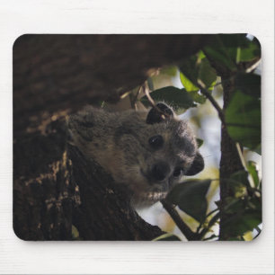 Mousepad Hyrax de Bush