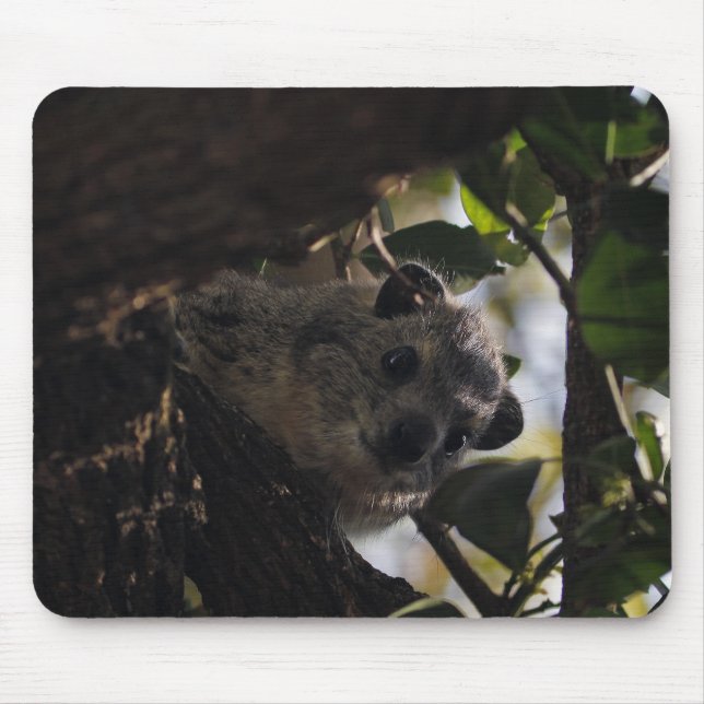 Mousepad Hyrax de Bush (Frente)