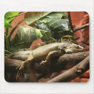 MOUSEPAD I2
