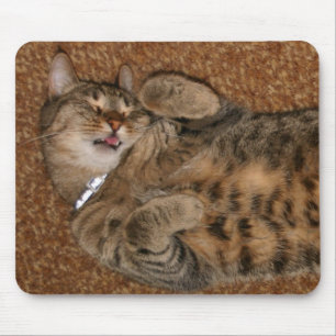 Mousepad I', m um gato tão bonito