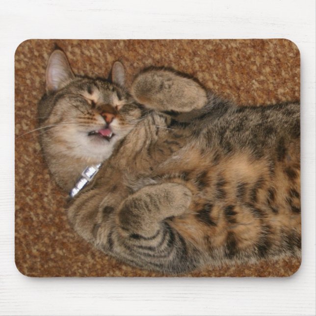 Mousepad I', m um gato tão bonito (Frente)