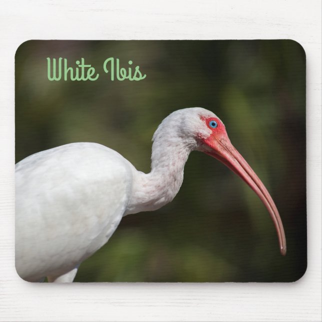 Mousepad Ibis Branco (Frente)