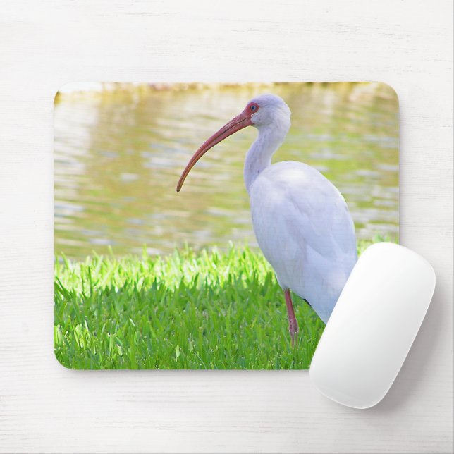 Mousepad Ibis Na Fotografia De Uma Perna (Com mouse)