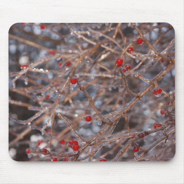 Mousepad Ice Berries (Frente)