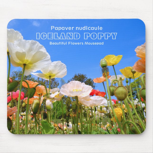 Mousepad Iceland Poppy (Frente)