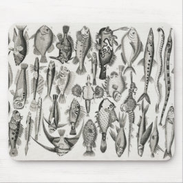 Mousepad Ichtiologictiologia, peixes, oceanos, ictiólogo