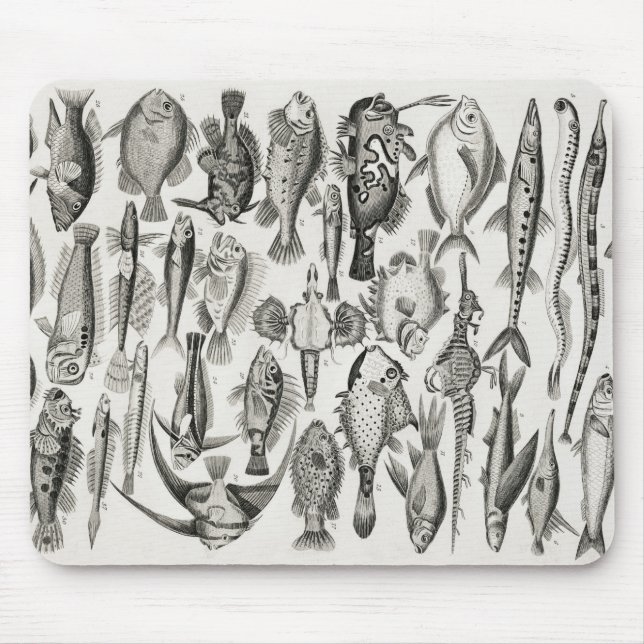 Mousepad Ichtiologictiologia, peixes, oceanos, ictiólogo (Frente)