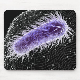 Mousepad Ideia microscópica de uma pilha dos piloros do