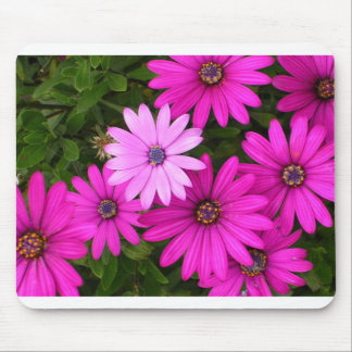 Mousepad Identidade (mousepad)