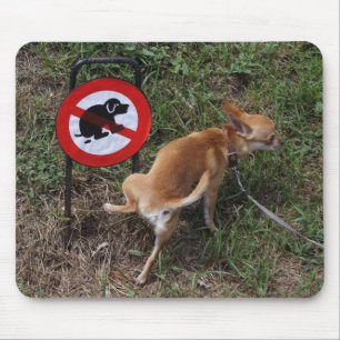 Mousepad Ignorância é felicidade