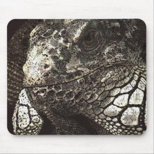 Mousepad Iguana