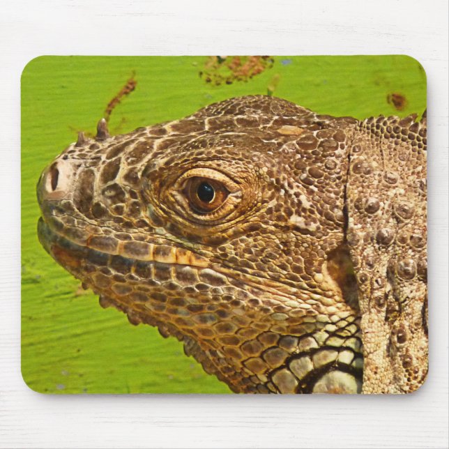 MOUSEPAD IGUANA (Frente)