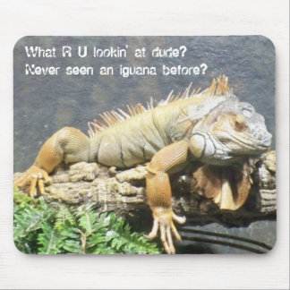 Mousepad Iguana legal