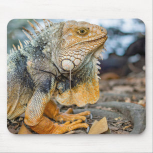 Mousepad iguana, réptil, mamífero